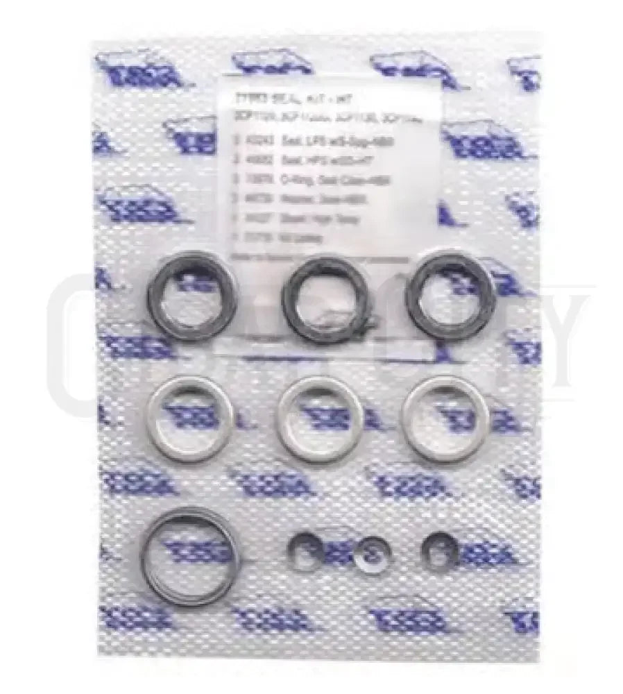 CAT Pumps 31983 Hi-Temp Rubber Seal Kit For 3CP Direct-Drive Plunger Pumps  Cigarcity Softwash.