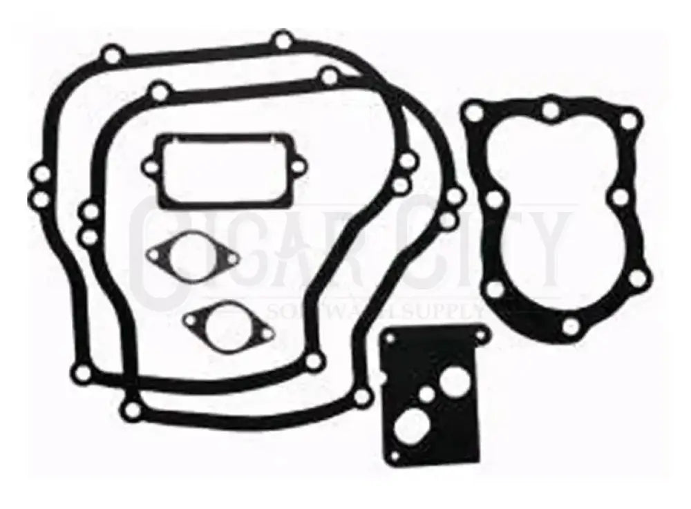 GASKET SET FOR B&S  Cigarcity Softwash.