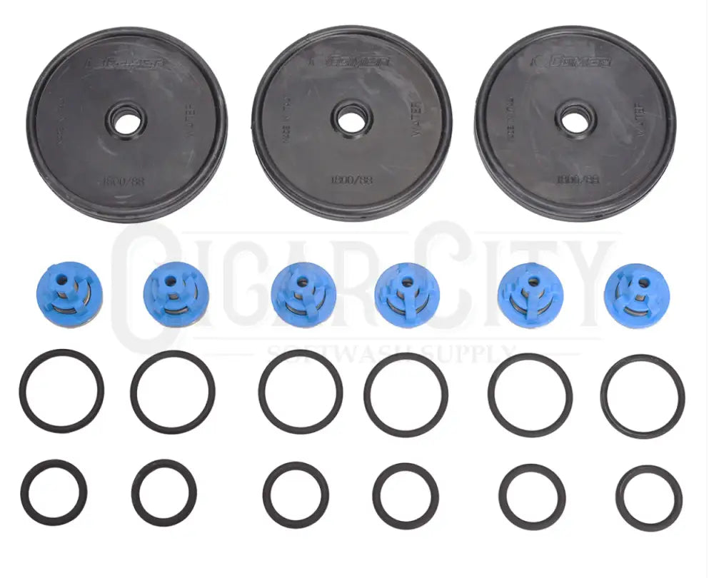 P40 Diaphragm & Valve Kit 5026.0419  Cigarcity Softwash.