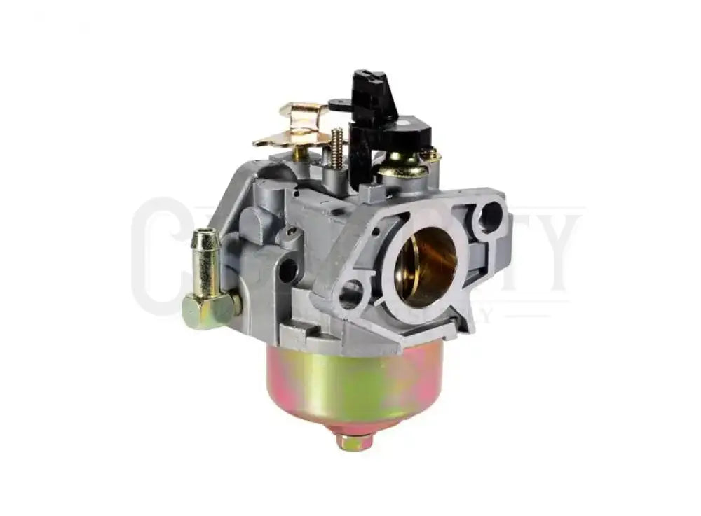 SNOW THROWER CARBURETOR  Cigarcity Softwash.