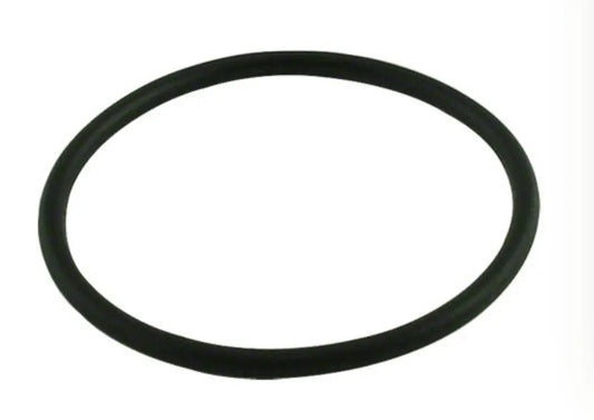 Banjo LS100G Line Strainer Gasket - Cigarcity Softwash